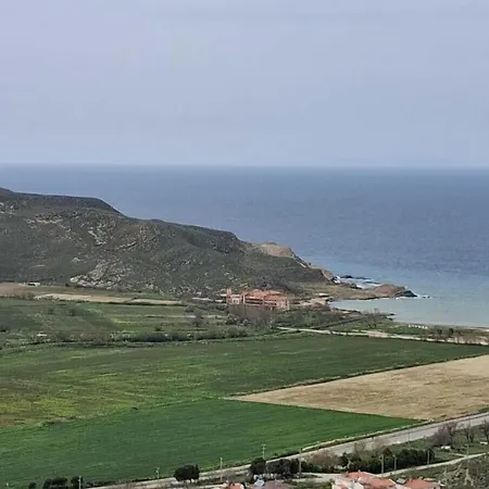 Masi