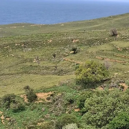 Masi فندق Bademli (Gokceada)